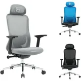 Newskill Nue Ergonomischer Gaming-Stuhl Grau