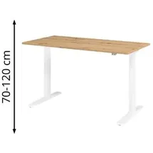 Hammerbacher XMKA16 elektrisch höhenverstellbarer Schreibtisch asteiche rechteckig, C-Fuß-Gestell weiß 160,0 x 80,0 cm