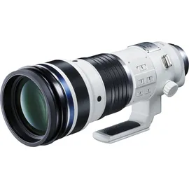 OM System OM-1 II + M.Zuiko 150-400mm f/4,5 TC1,25x IS Pro