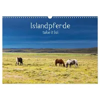 Calvendo Islandpferde take it Isi (Wandkalender 2026 DIN A3