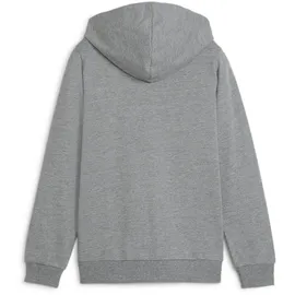 Puma teamGOAL Casuals Kapuzenjacke Jungen 33 medium gray heather/white 128