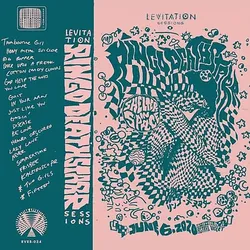 Ringo Deathstarr - Levitation Sessions (Limited Color Vinyl) (Vinyl)