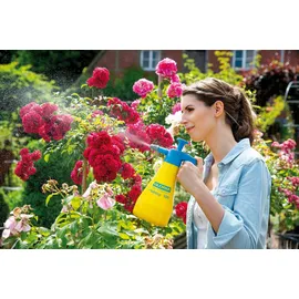 Gloria Hobby 100 Drucksprüher 1 l