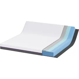 vidaXL Matratze Weiß Grau 180 x 200 cm Memory Foam