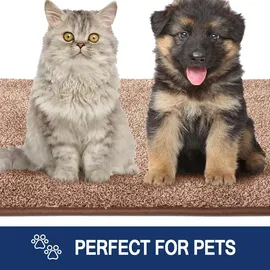 FCSDETAIL Schmutzfangmatte 86x150cm braun