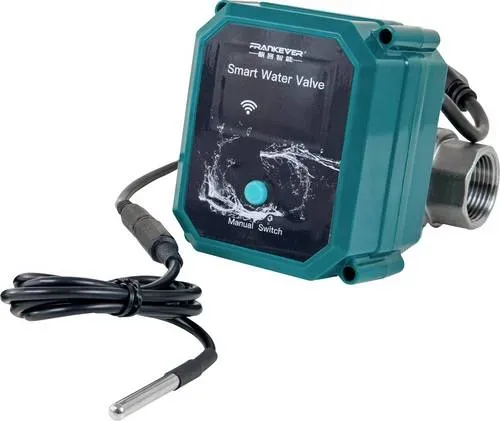 shelly frankever smartes wasserventil dn25