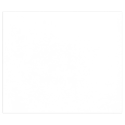 Clairefontaine Zeichenpapier Tulipe A3 160g, Packung mit 50 Blatt - Weiß 960580C