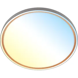 Briloner LED Deckenlampe 1 dimmbar Ø 49,5 cm anthrazit