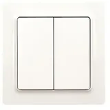 Eltako Funktaster F4T55E-pg