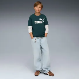 Puma ESS No. 1 Logo Tee B Tees (1er Pack)