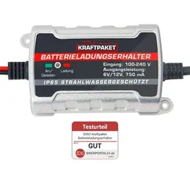 Dino Kraftpaket 6V/12V 750mA