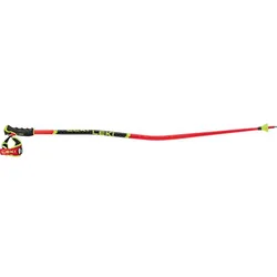 LEKI Herren Alpin-Skistock WCR GS 3D, mehrfarbig, 125