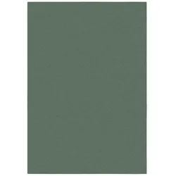 Kadima Design Teppich XXL 200x290 | Kongressbereich, Grün | Gewerbliche Nutzung | Langlebig | Blith Kollektion