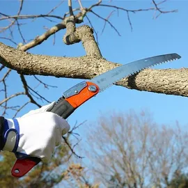 Silky Ultra Accel Curve 240-7,5 grob (446-24)