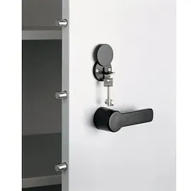 Californian Products CP Sicherheitsschrank C 4000 Certos lichtgrau 120,0 x 50,0 x 122,6 cm