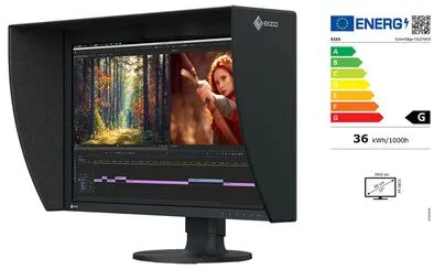 Eizo CG2700X ColorEdge Grafik-Monitor+Lichtschutz schwarz 68,4 cm (27