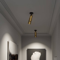 Top Light Neo! Spot Wall/Ceiling LED-Strahler HV, messing