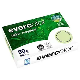 Clairefontaine Evercolor A4 80 g/m2 500 Blatt