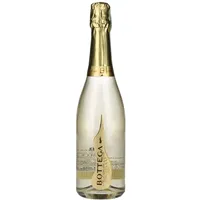 Bottega Il Vino dei Poeti Prosecco DOC Extra Dry 2023 11% Vol. 0,75l