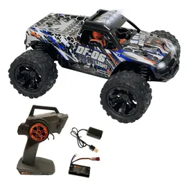 Drive & Fly Models RC-Truck Light Truck 1:14 CH RTR