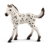 Schleich Horse Club Knabstrupper Fohlen 13890