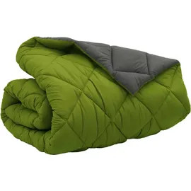 vidaXL Winterbettdecke Grün und Anthrazit 200 cm Mikrofaser
