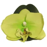 Kunstorchidee Dekoblüten Phalaenopsis Orchidee Calin, 6 Stück, grün, 11 cm Orchidee (Orchidee phalaenopsis), artplants grün