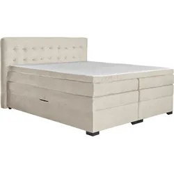 Boxspringbett Madeira in Creme ca. 160x200cm