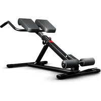 Sportstech BRT150