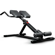 Sportstech BRT150