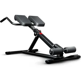 Sportstech BRT150