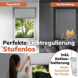 Foxx Seitenzugrollo Blackout 55 x 220 cm grau