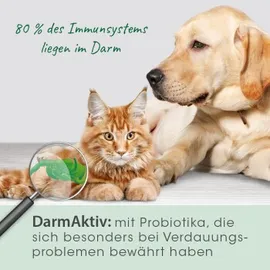 cdVet DarmAktiv 100 ml