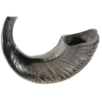 Ram's Horn Shofar Koscher Medium 33 cm natur schwarz dunkel