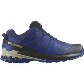 Salomon XA Pro 3D V9 GTX Herren Blue Print/Surf The Web/Lapis Blue 42