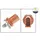 AIC Sensor, Kraftstoffdruck NEW MOBILITY PARTS 56680