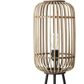 Brilliant Woodrow Braun