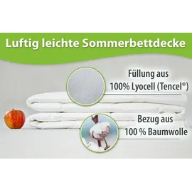 franknatur Sommerdecke Lyocell Bettdecke 135x200