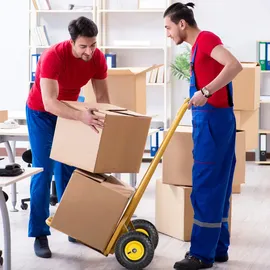 Relaxdays Sackkarrenrad 2er Set, 4.10 3.50-4, luftbereift, Stahlfelge, 136 kg, Schubkarrenrad, Ersatzrad, schwarz/gelb