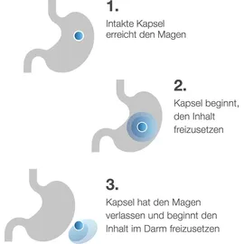 Dr. Wolz Darmflora Plus Select Intens Kapseln 40 St.