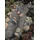UBBINK Steinfolie Classic Anthrazit 0,4 x 5,0 m