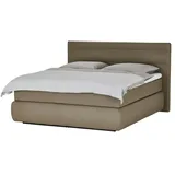 Wohnwert Boxspringbett Dormian Bolge High ¦ beige ¦ Maße (cm): B: 160 H: 122