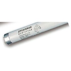 Sylvania REPTISTAR T8 30W G13 DIM