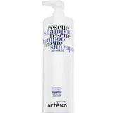 Artègo Rescue Shampoo Easy Care T 1000 ml