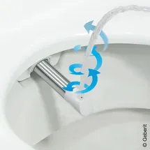 Geberit Duschdüse 243662111