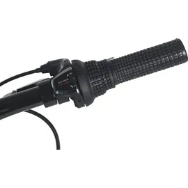 KS-Cycling Mistral 24 Zoll RH 32 cm grau