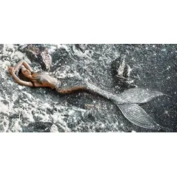Glasbild MEERJUNGFRAU - grau