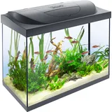 Tetra Starter Line 80 l Komplett-Set Schwarz