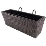 Viva Pflanzkasten 60 cm Rattan Balkonkasten Blumentopf Grau mit Halter