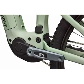 Specialized Turbo Levo R Expert 2026 29 Zoll RH 3 cm Pistachio/Dark Moss Green